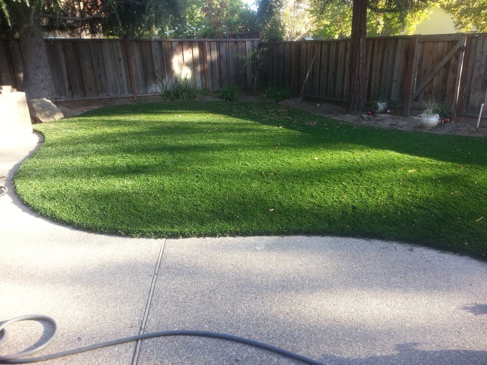 Photo of Buy Some Grass