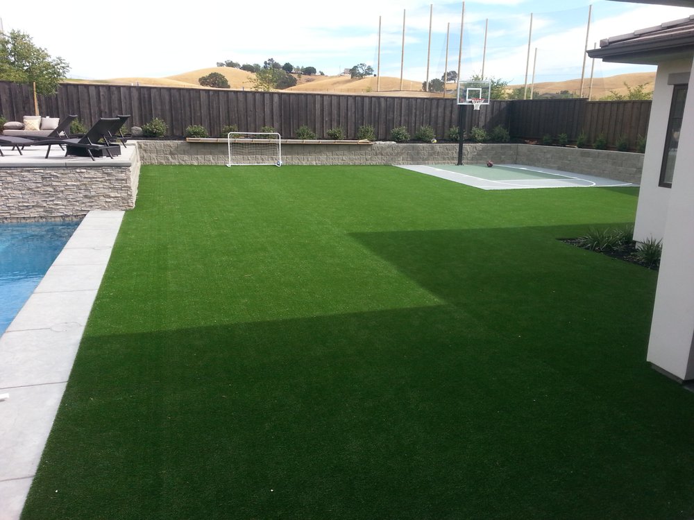 Photo of Buy Some Grass