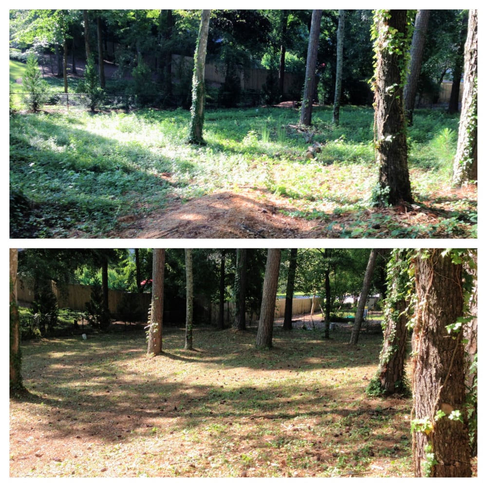 Photo of Perfect View Landscape & Design LLC