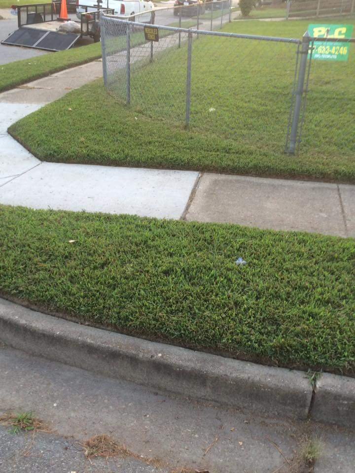 Photo of Polish Lawn Care
