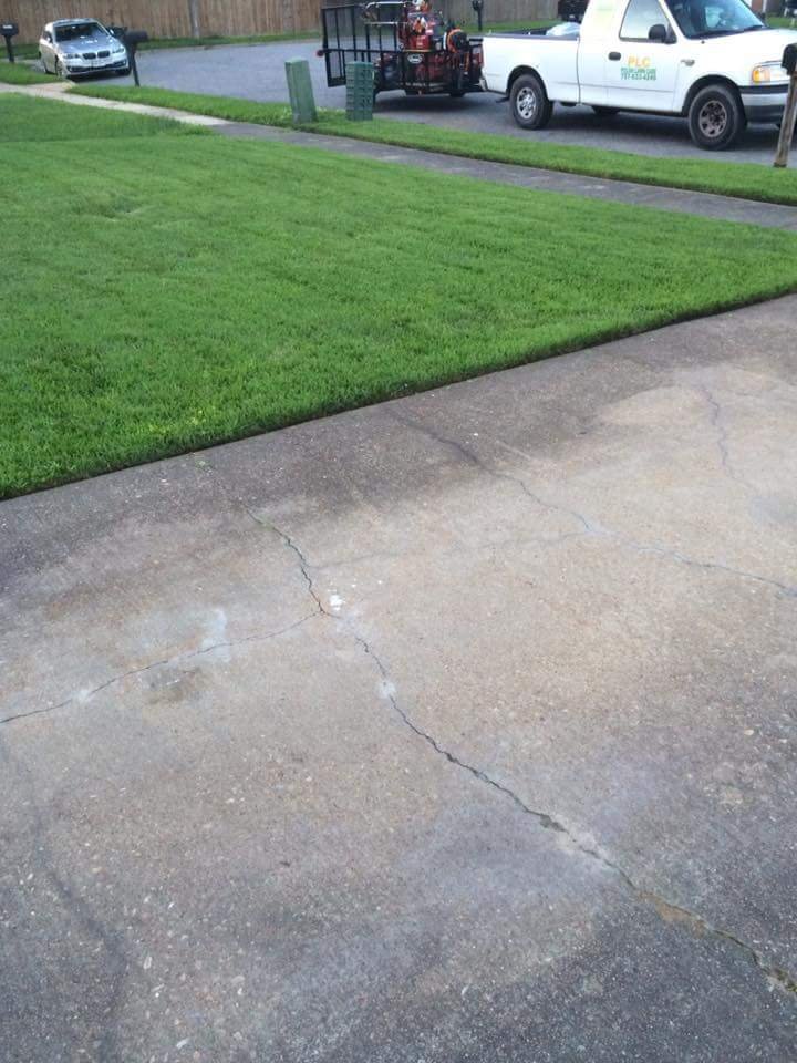 Photo of Polish Lawn Care