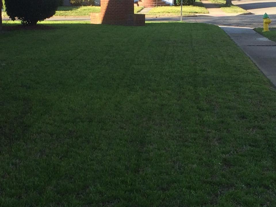 Photo of Polish Lawn Care