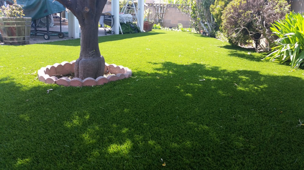Photo of Top Quality Turf