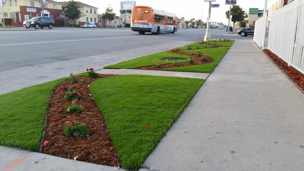 Photo of Top Quality Turf