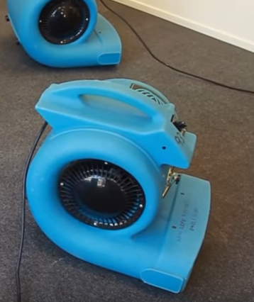 Photo of Precision Mold Removal Of Los Angeles