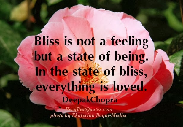Photo of Blissful Cleaning Services