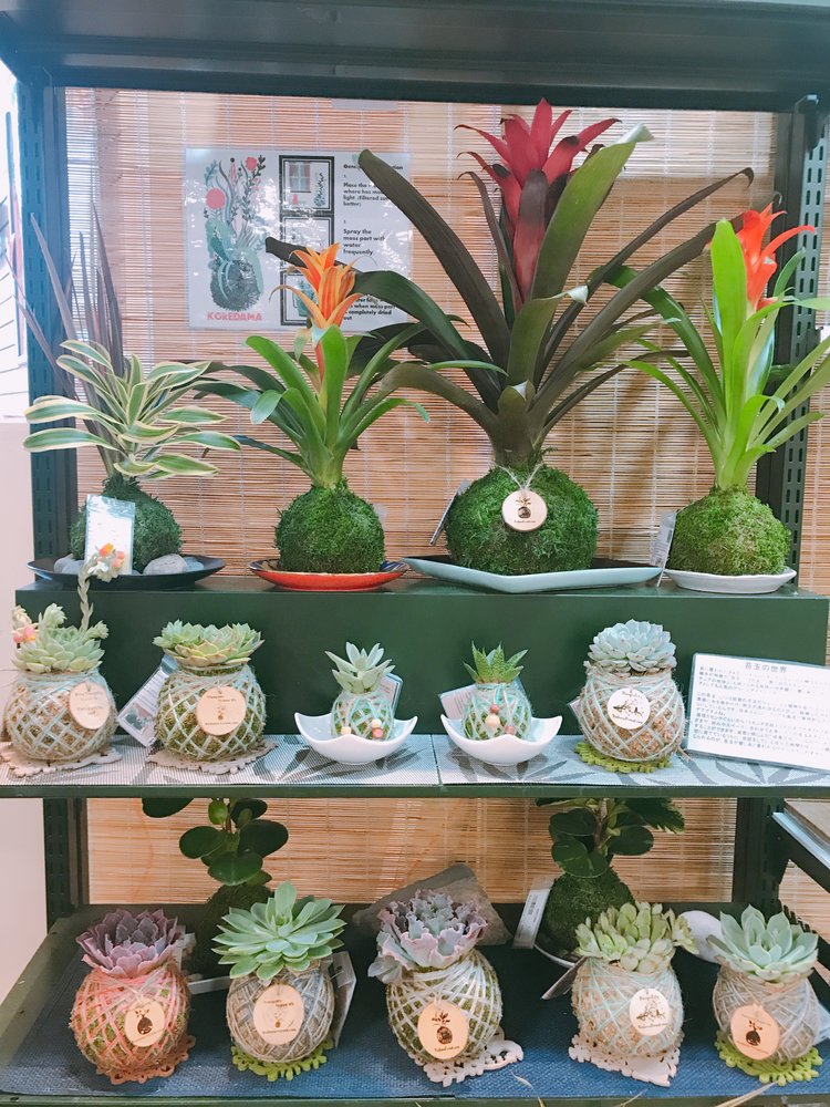 Photo of Kodama Forest