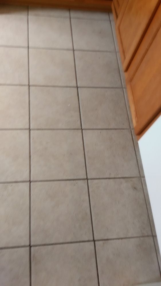 Photo of First Choice Carpet Cleaning