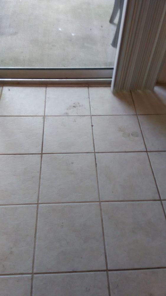 Photo of First Choice Carpet Cleaning