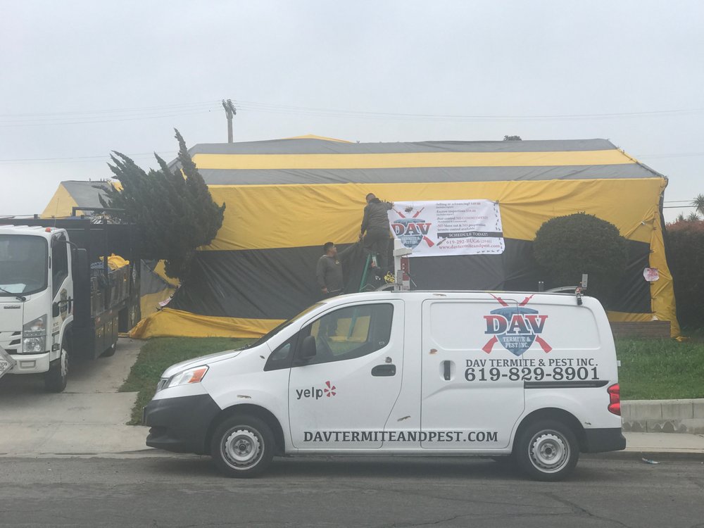 Photo of DAV Termite and Pest Control
