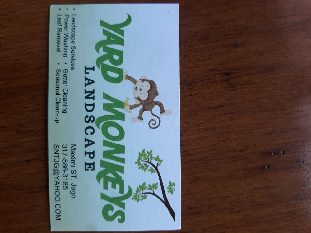 Photo of Yard Monkeys