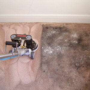 Photo of 1 St Choice Carpet Cleaners