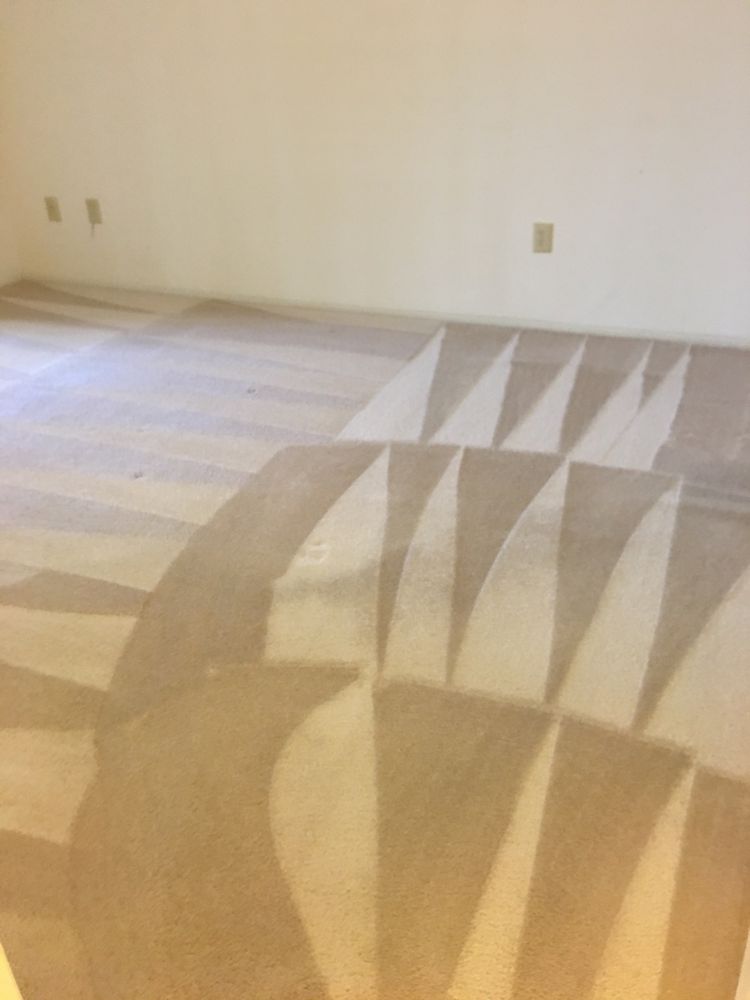 Photo of Oscars Complete Carpet Care