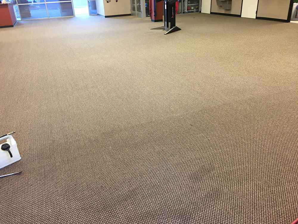Photo of Oscars Complete Carpet Care