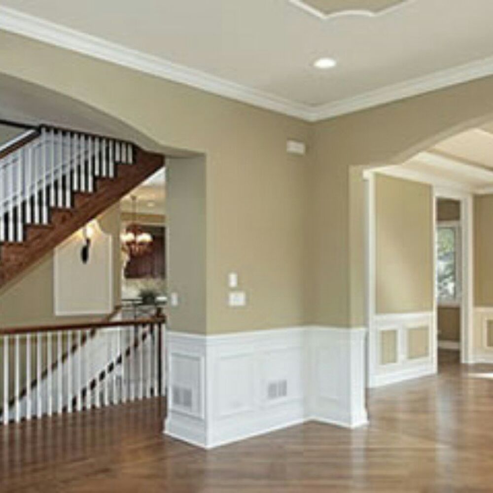 Photo of Prostar Painter's