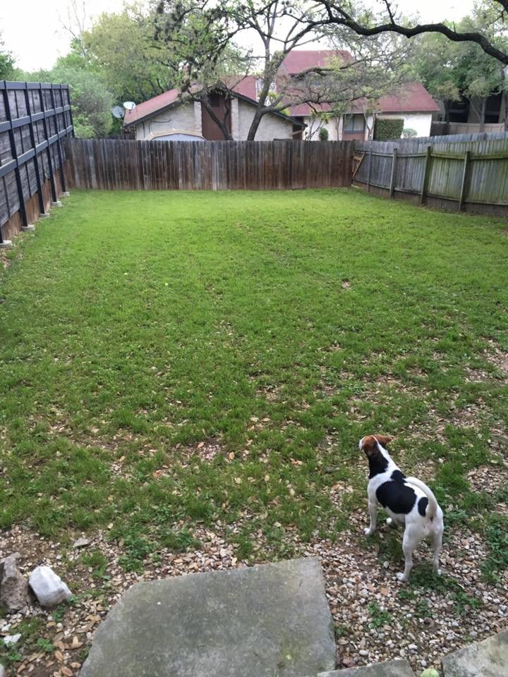 Photo of R & R Quality Lawn Care