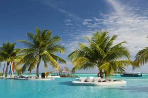 Photo of Tropical Pools