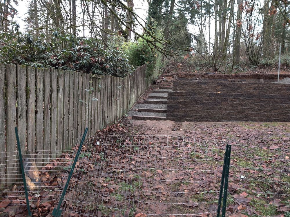Photo of Fresh Roots Landscaping