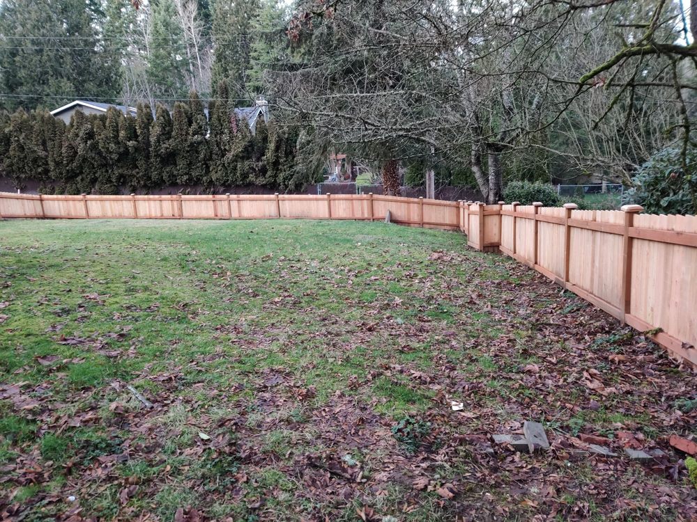 Photo of Fresh Roots Landscaping