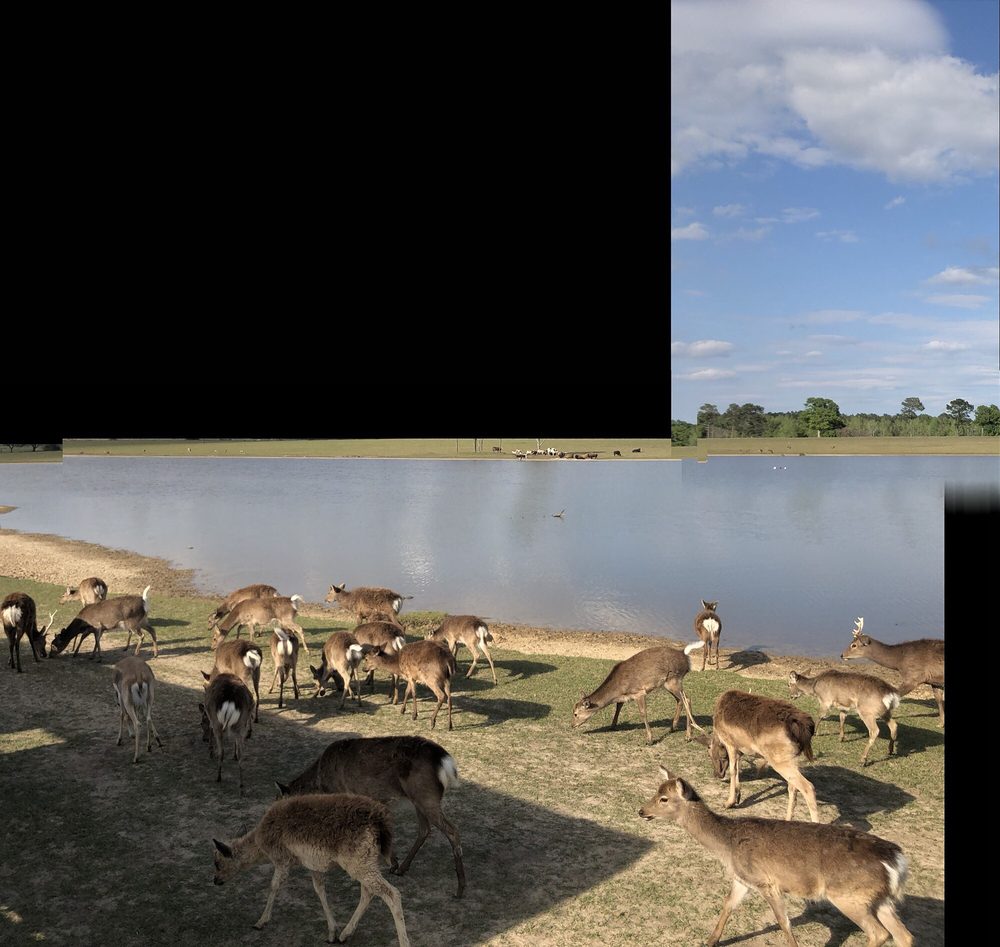 Photo of Global Wildlife Center