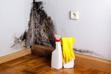 Photo of All Clear Environmental Services