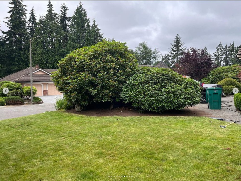 Photo of West Coast Garden's Lawn Care Service.