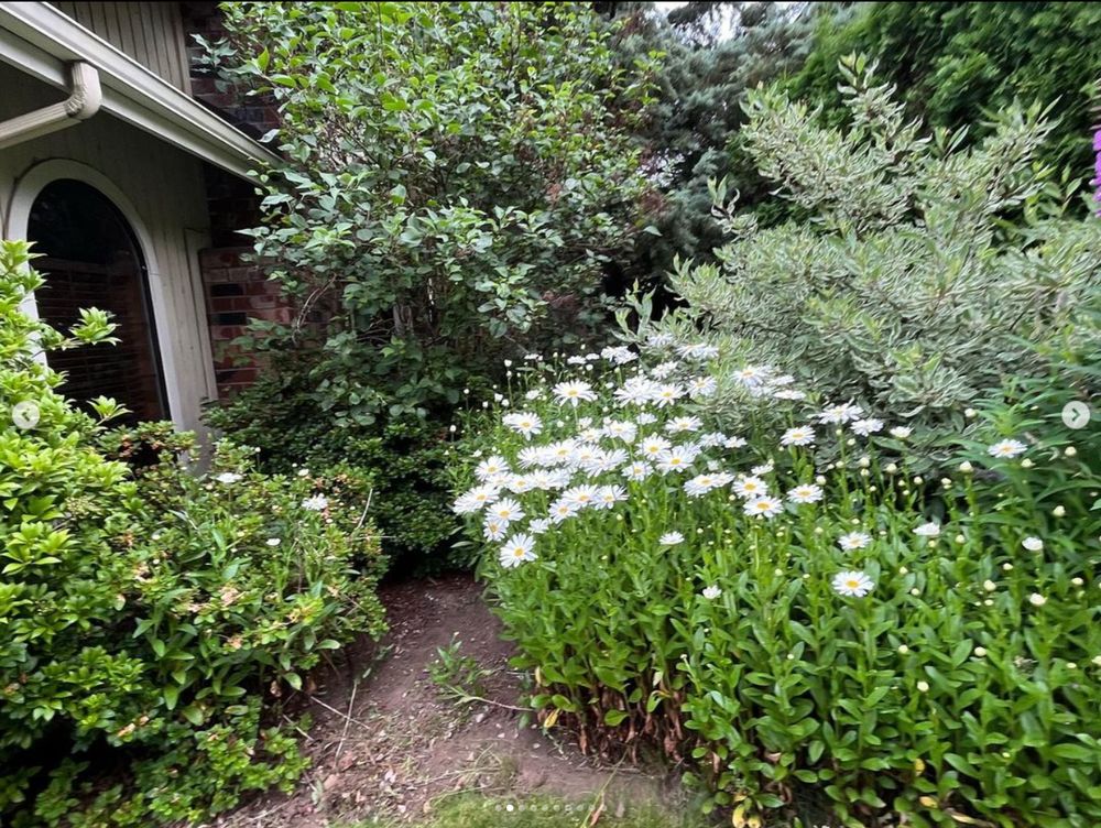 Photo of West Coast Garden's Lawn Care Service.
