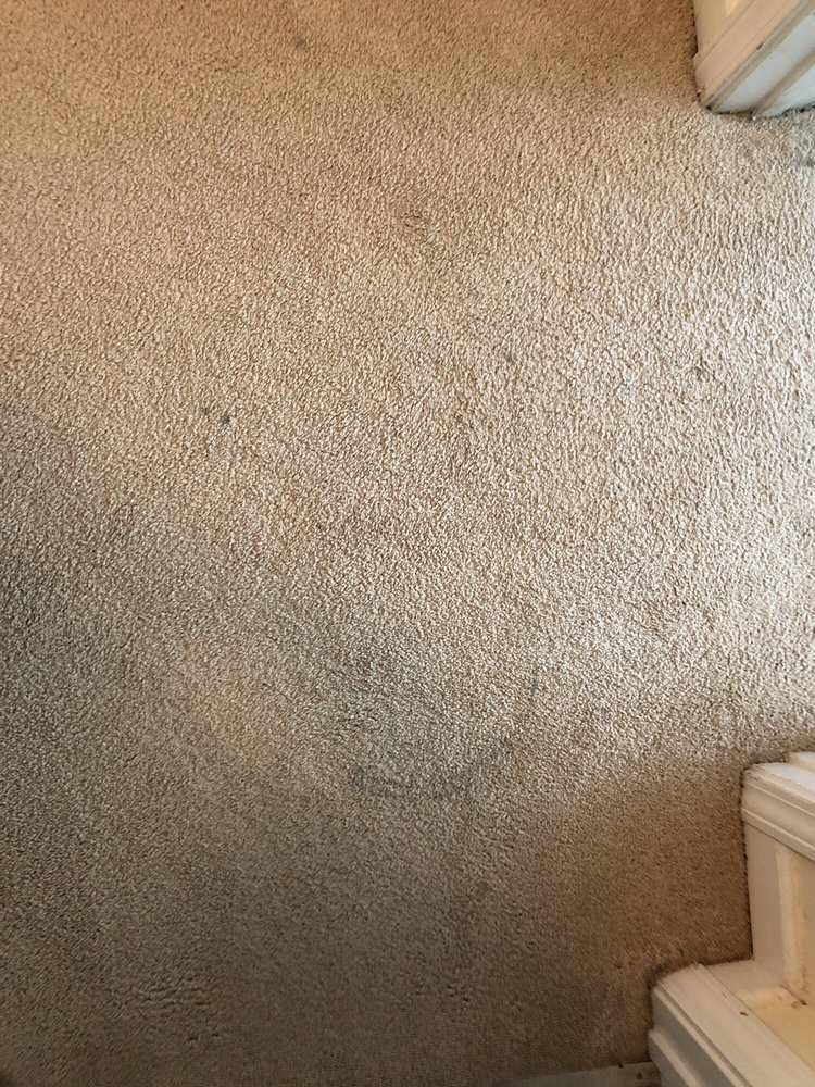 Photo of ServicePro Carpet Cleaning