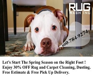 Photo of Rug Wash