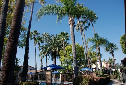 Photo of The Majestic Apartments