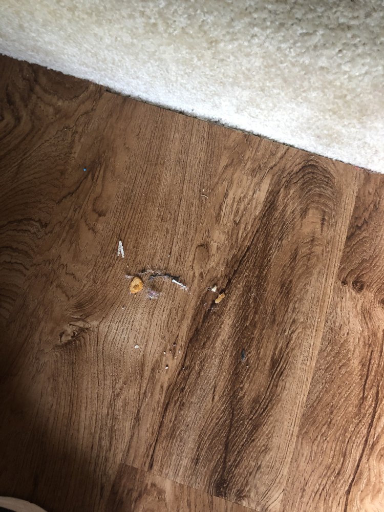 Photo of Real World Cleaning Services