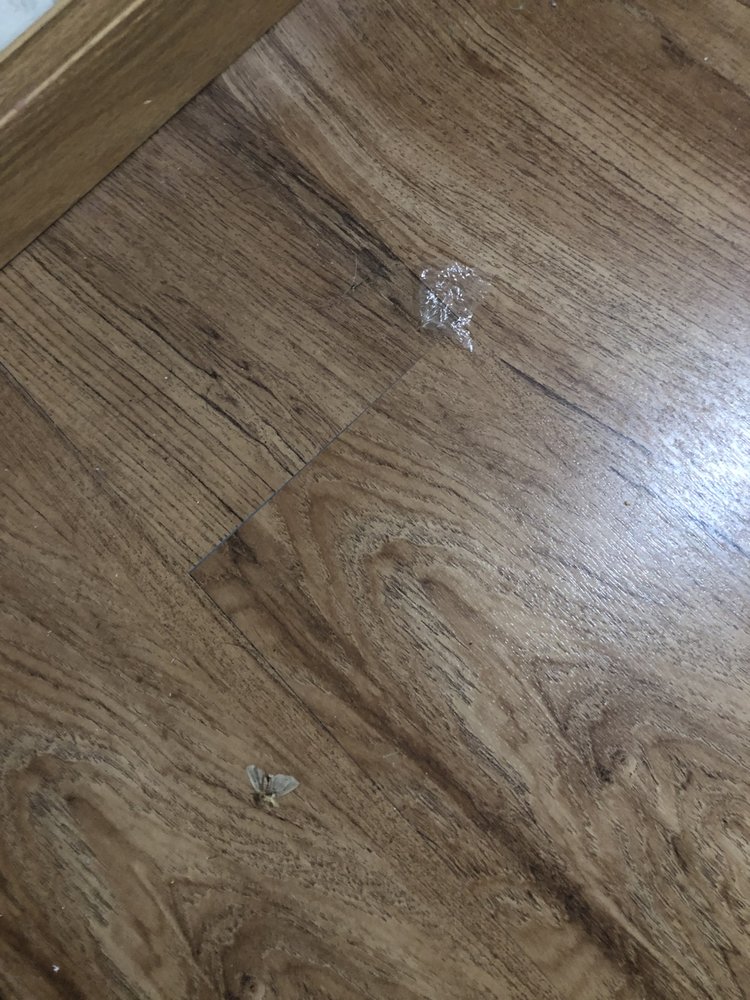 Photo of Real World Cleaning Services