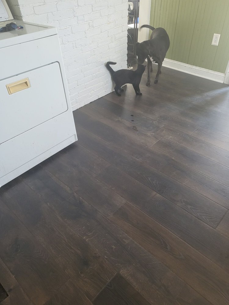 Photo of Floored at Home