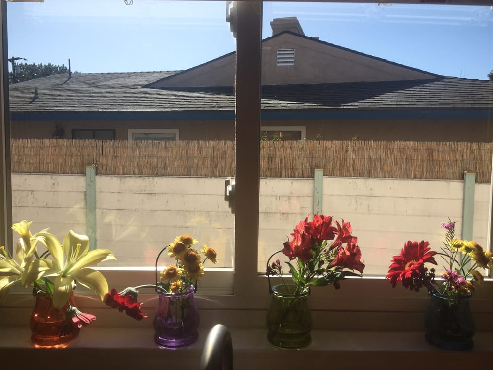 Photo of Window Hygienics