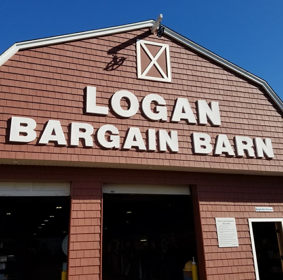 Photo of Logan Steel