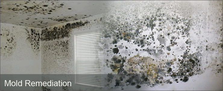 Photo of TCWRC Water Damage Coral Gables