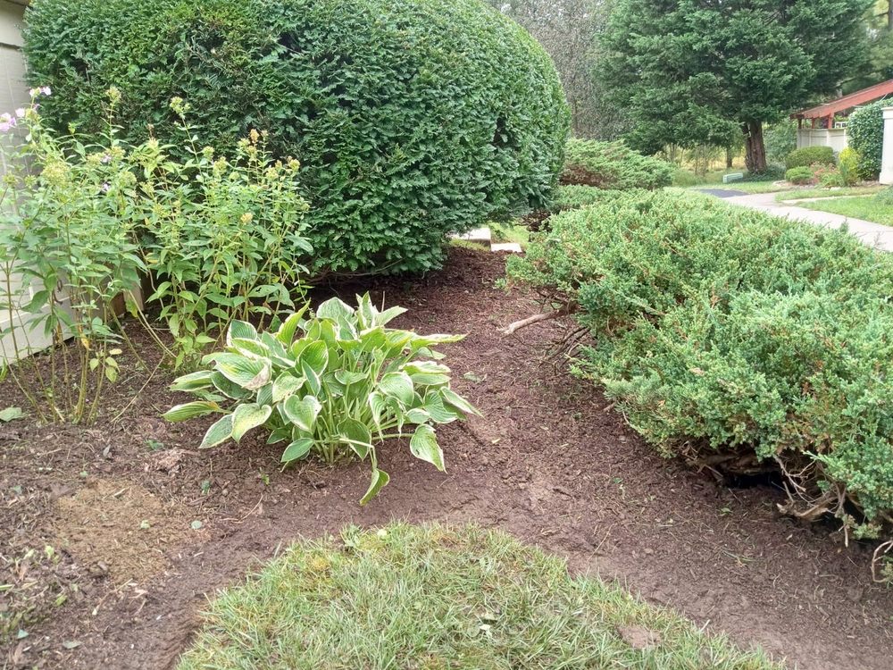Photo of DC Ayala Landscaping Service