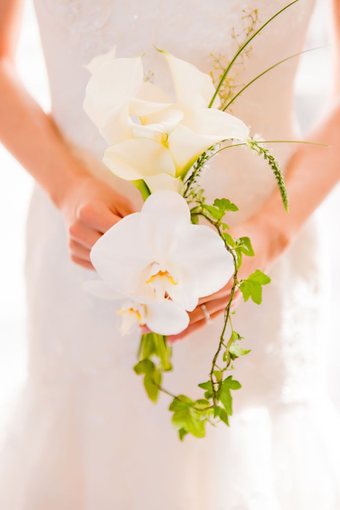 Photo of Whisk & Petal