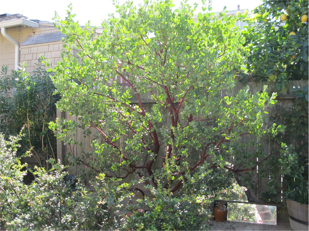 Photo of Poetree Landscapes & Arboriculture