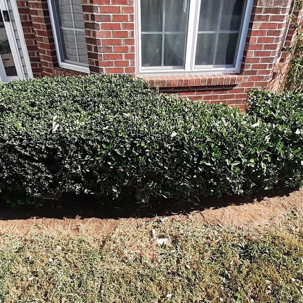 Photo of The Lawn Stylist