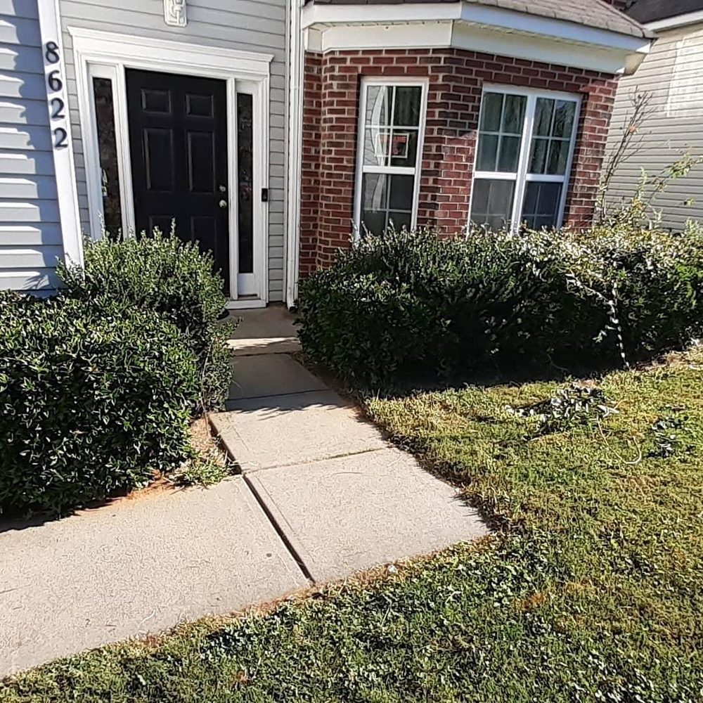 Photo of The Lawn Stylist