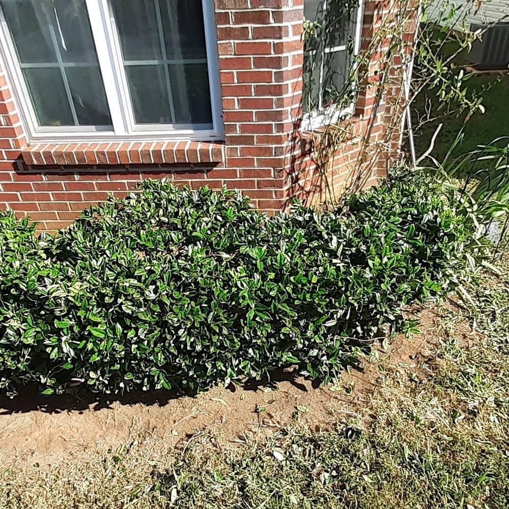 Photo of The Lawn Stylist