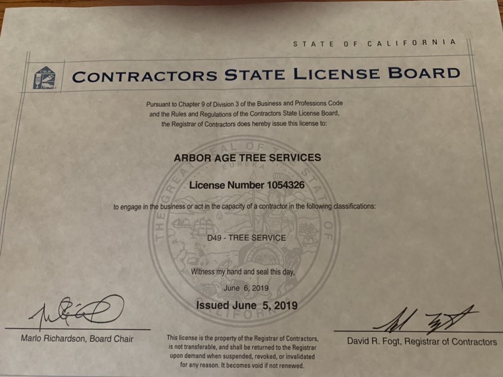 Photo of Arbor Age Tree Services