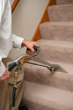 Photo of Young Carpet Cleaning