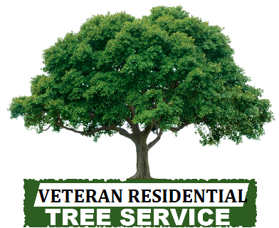 Photo of Veteran Residential Works
