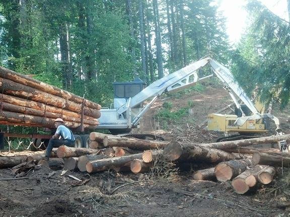 Photo of Alpine Earth Movers