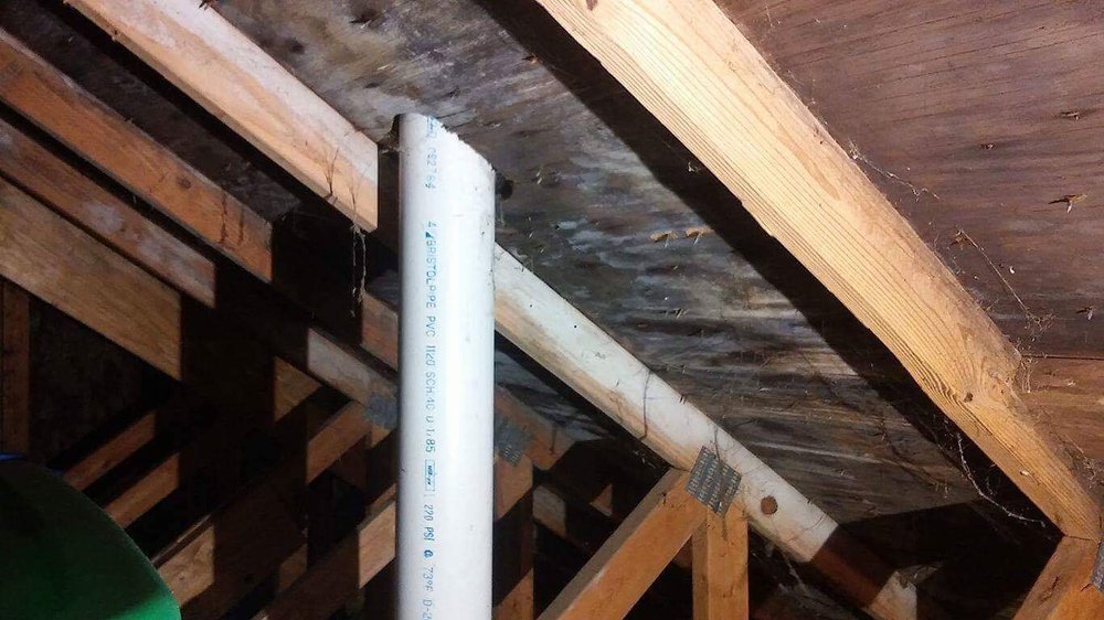 Photo of Max Out Mold Removal