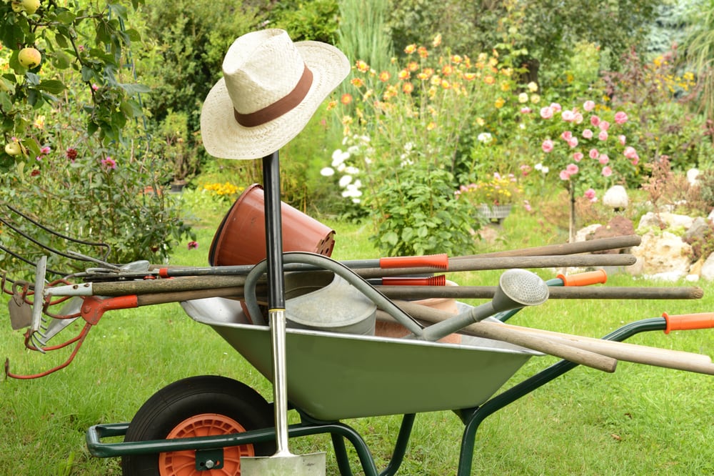 Photo of Native Gardening