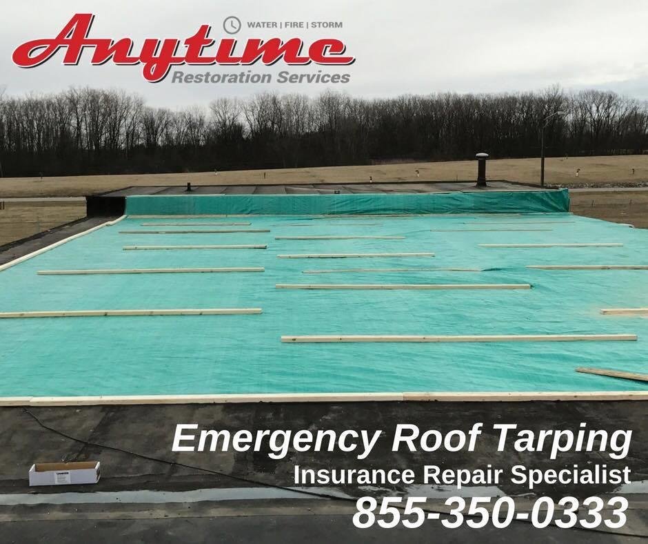 Photo of Anytime Restoration Services