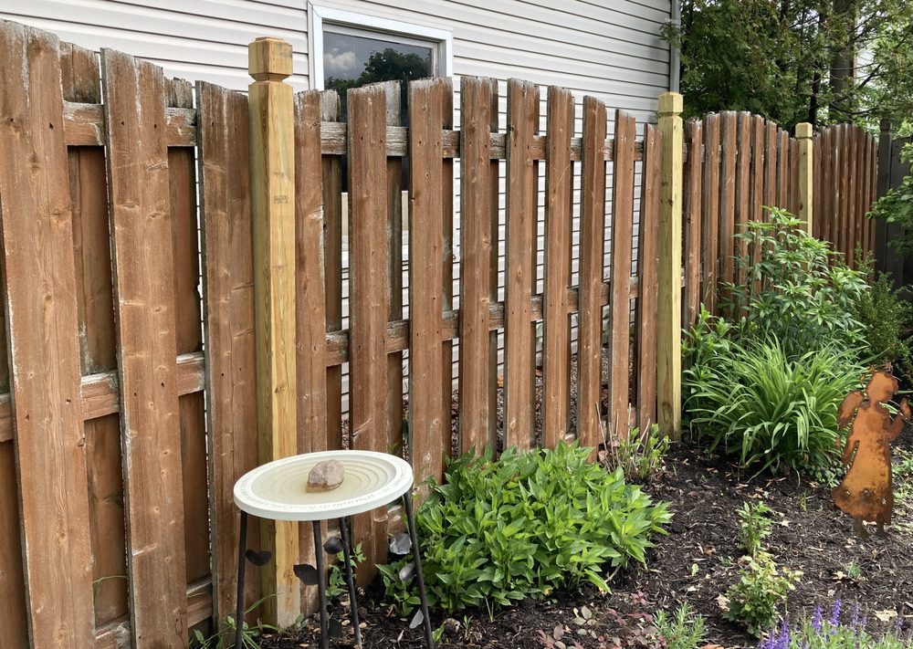 Photo of Family Fence